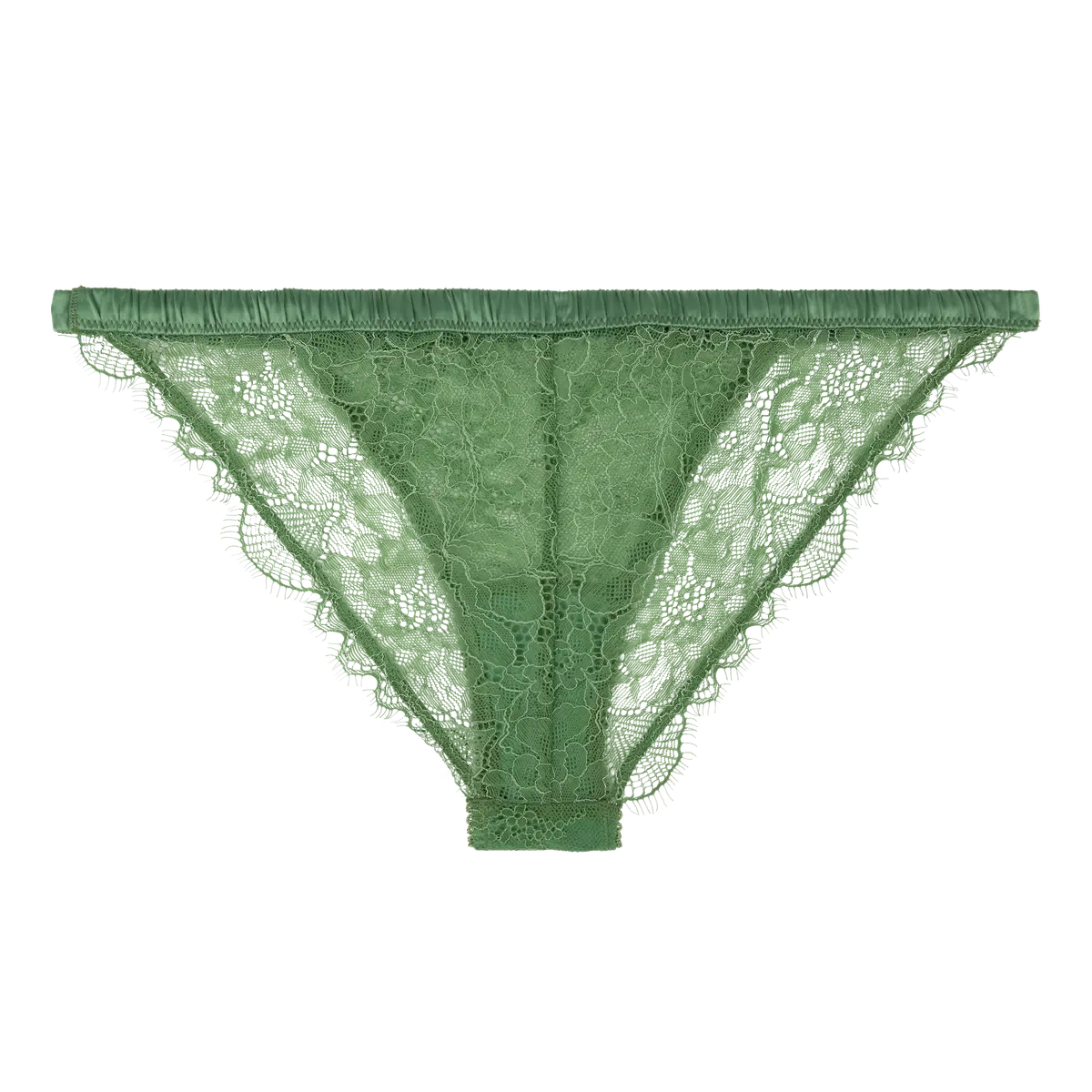 Briefs Wild Rose Green