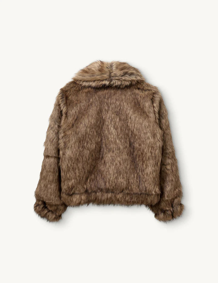 Coat Damiy Brown