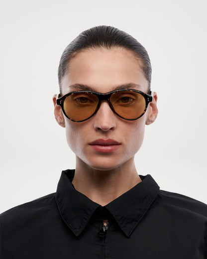Sunglasses Tome Tortoise
