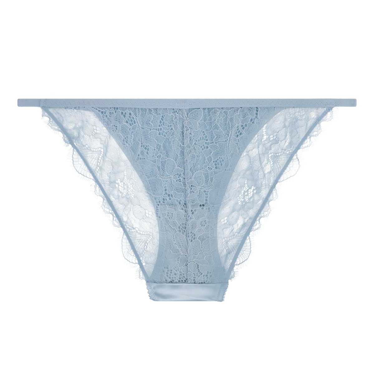 Briefs Wild Rose Light Blue