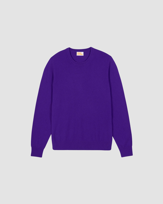 Sweater Future Purple