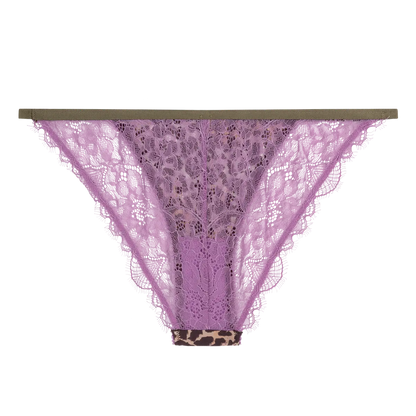 Briefs Wild Rose Leopard