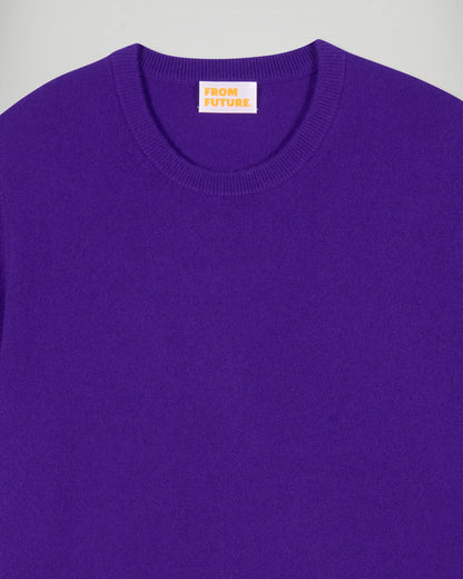 Sweater Future Purple